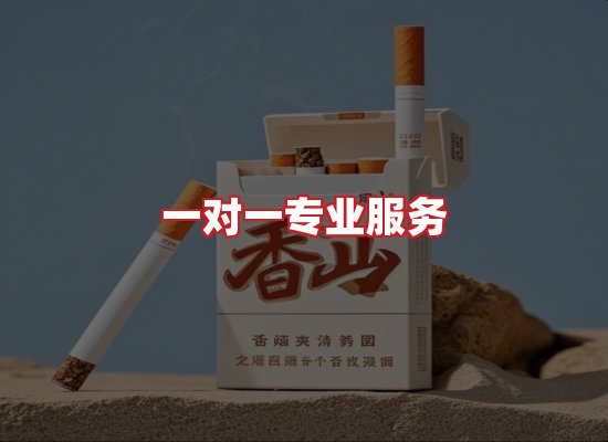 专业团队